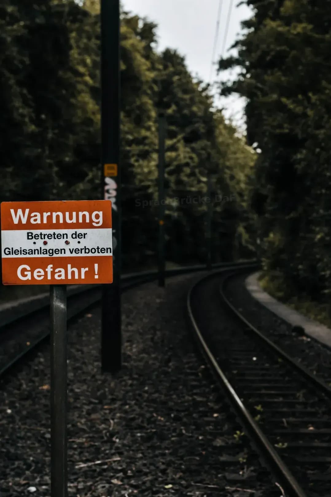 SprachBrücke DaF 14