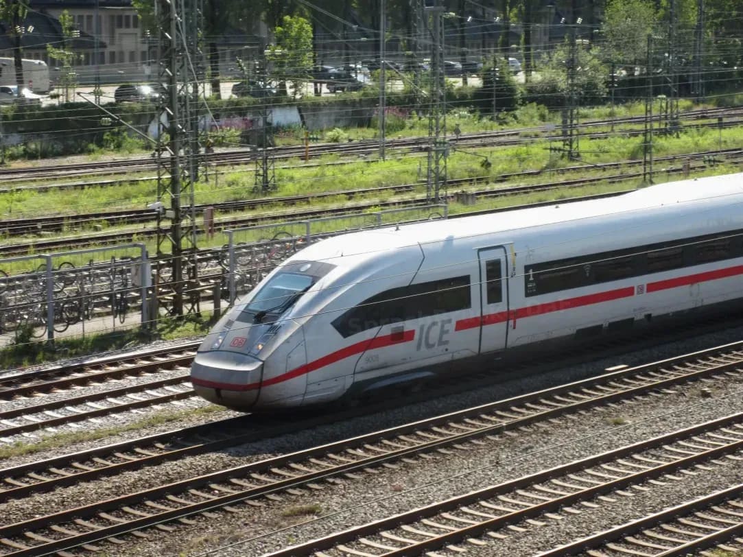 SprachBrücke DaF 7